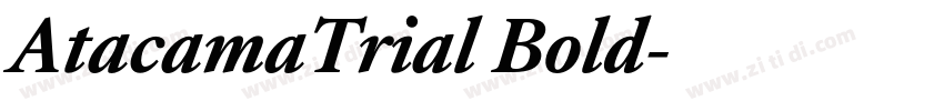 AtacamaTrial Bold字体转换